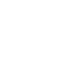 tezibu logo