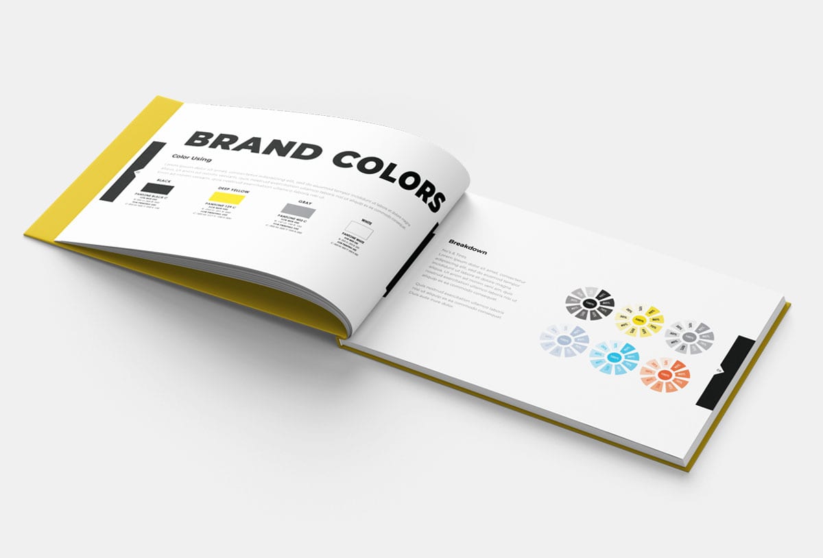 brand book dizaynı